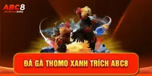 Đá Gà Thomo Xanh Trích